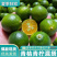 海南小金桔青桔一级果青柠混搭柑橘