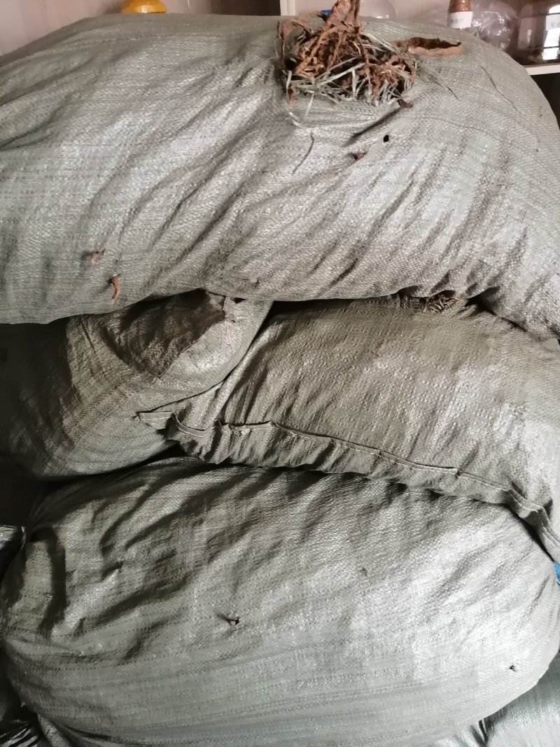 厂家直销石菖蒲现货秒发24小时在线服务品质可靠