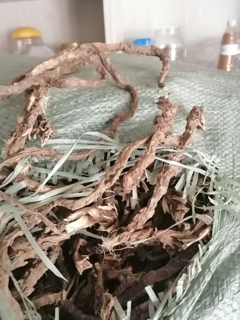 厂家直销石菖蒲现货秒发24小时在线服务品质可靠