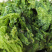 昆布【包邮】三斤起发货可批量可零售量大从优