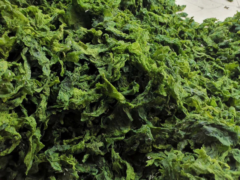 昆布【包邮】三斤起发货可批量可零售量大从优