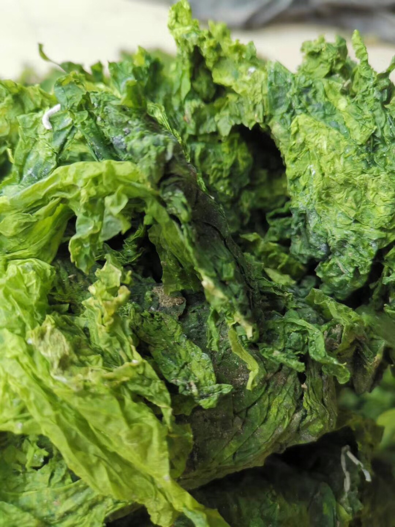 昆布【包邮】三斤起发货可批量可零售量大从优