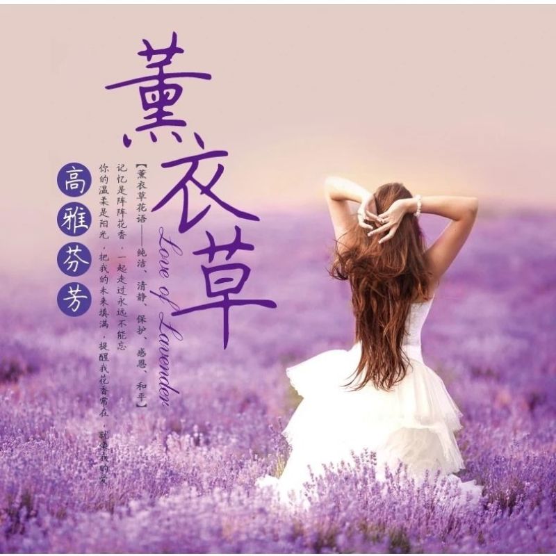 薰衣草新疆伊犁无硫散装香味浓郁无添加可泡水包邮