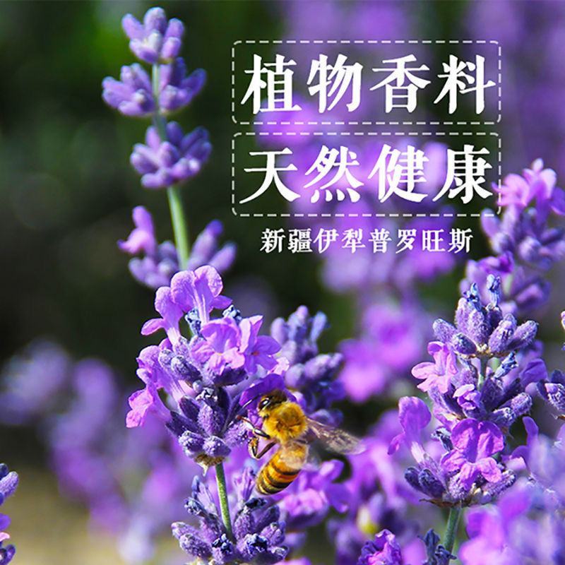 薰衣草新疆伊犁无硫散装香味浓郁无添加可泡水包邮