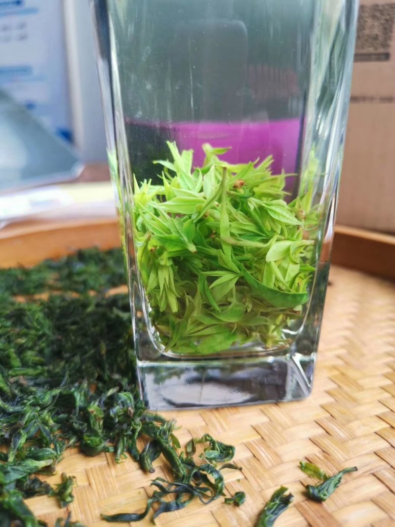 小叶苦丁茶头采米芽自产自销