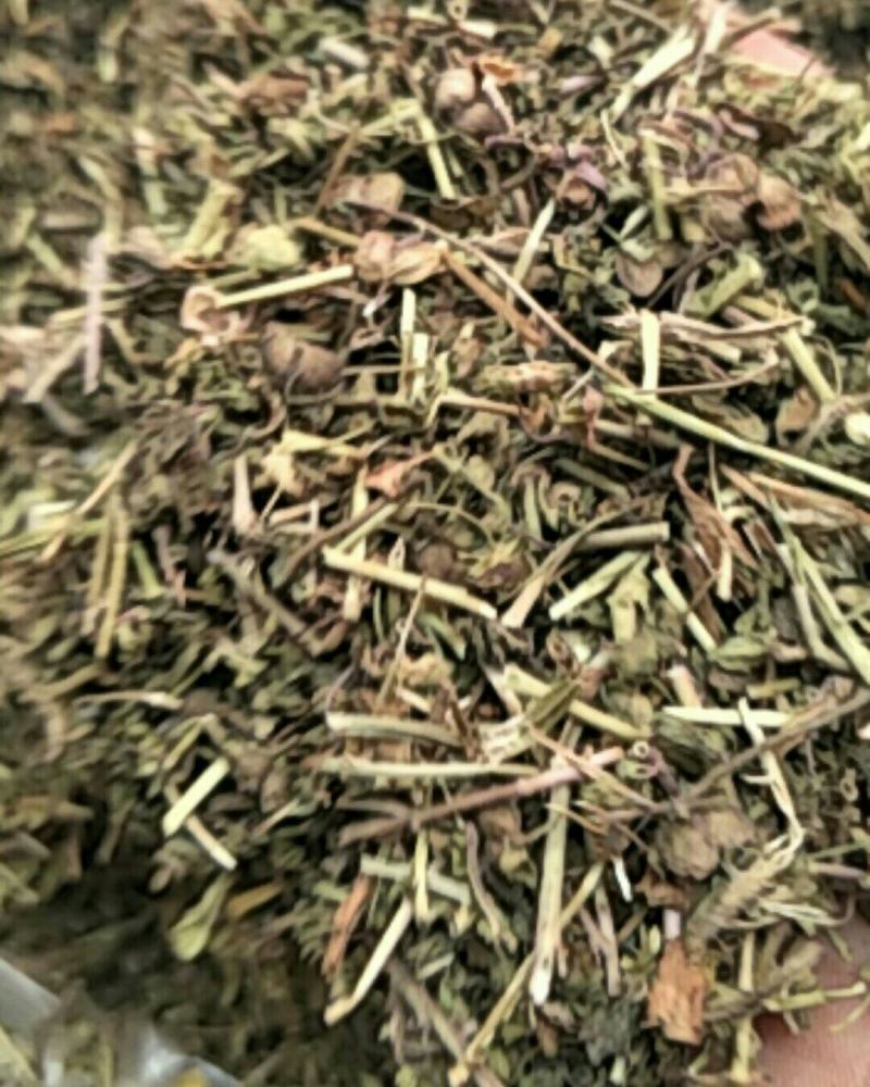 仙桃草，常年批发供应冷背中草药，仙桃草
