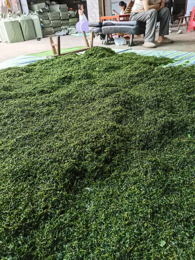 小叶苦丁茶，批发，零售自产自销欢一件也是批发价