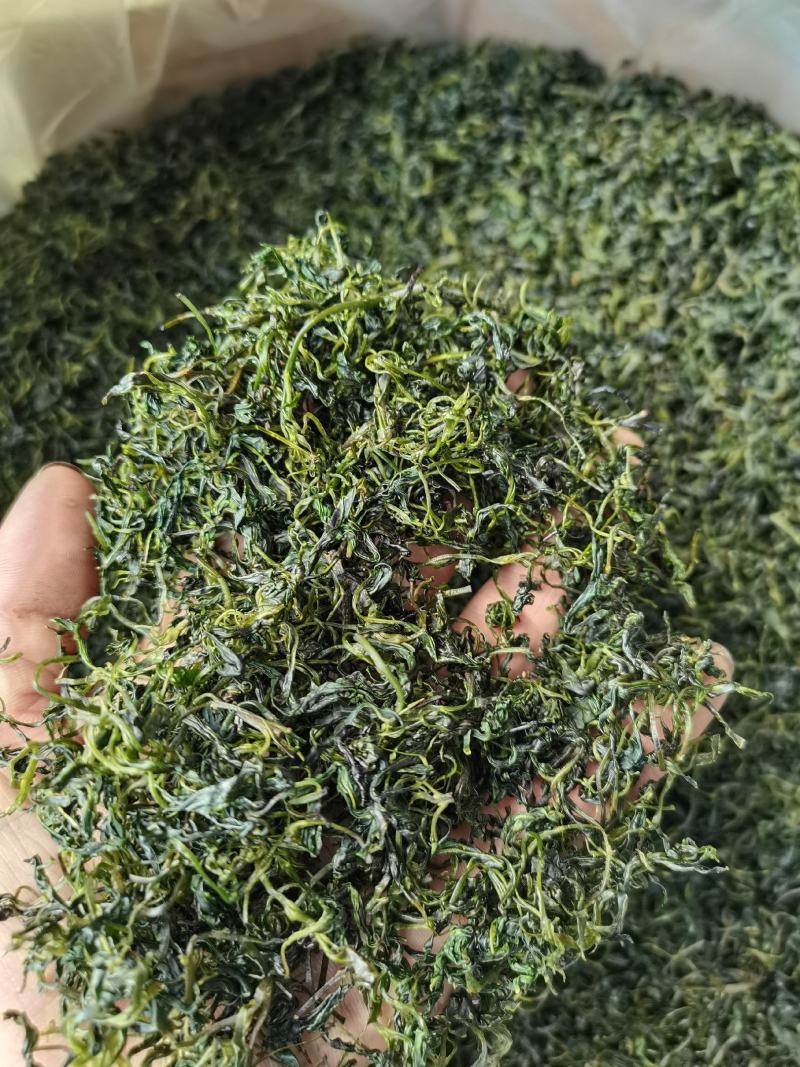 小叶苦丁茶，批发，零售自产自销欢一件也是批发价