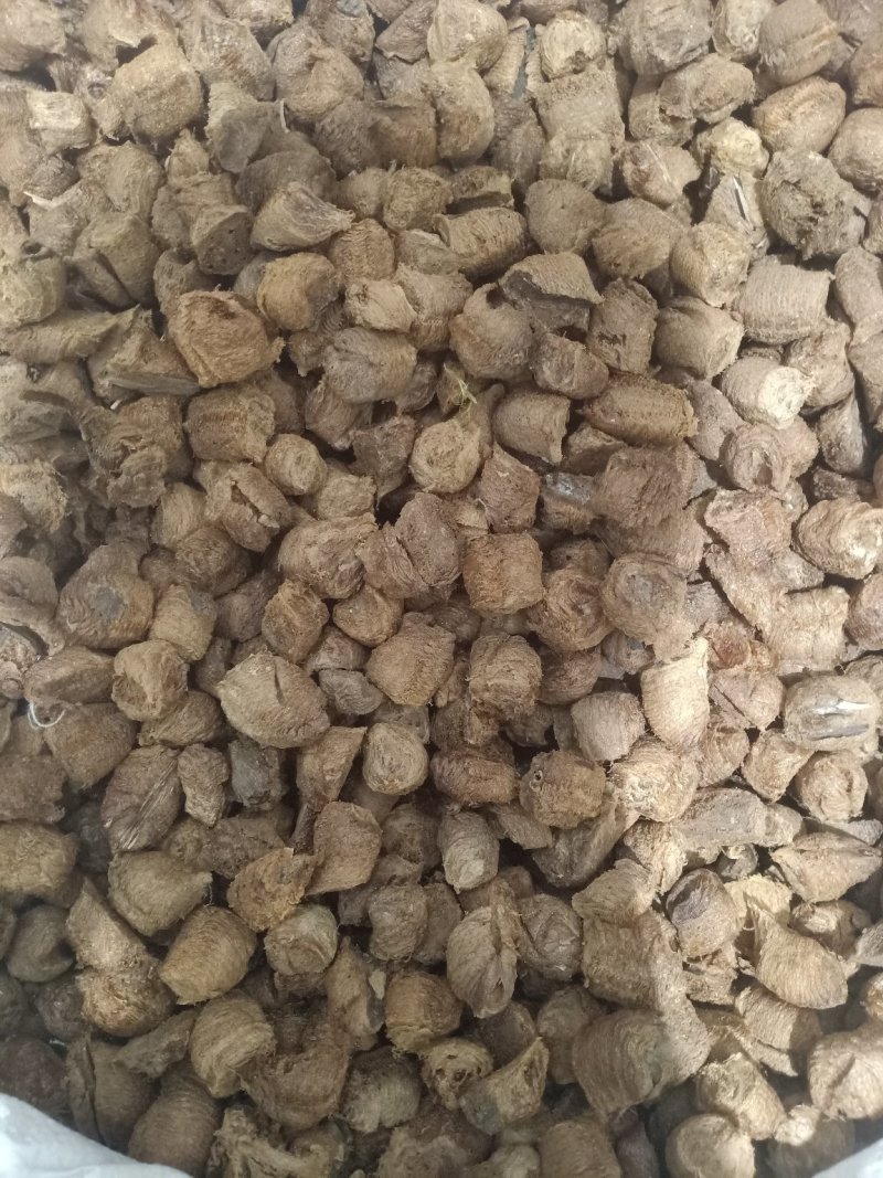 桑螵蛸，正品东北产熟桑蛸，质量保证！