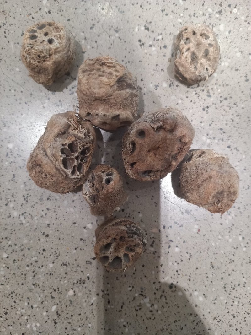 藕节，上千种中药材，质量保证，欢迎选购！