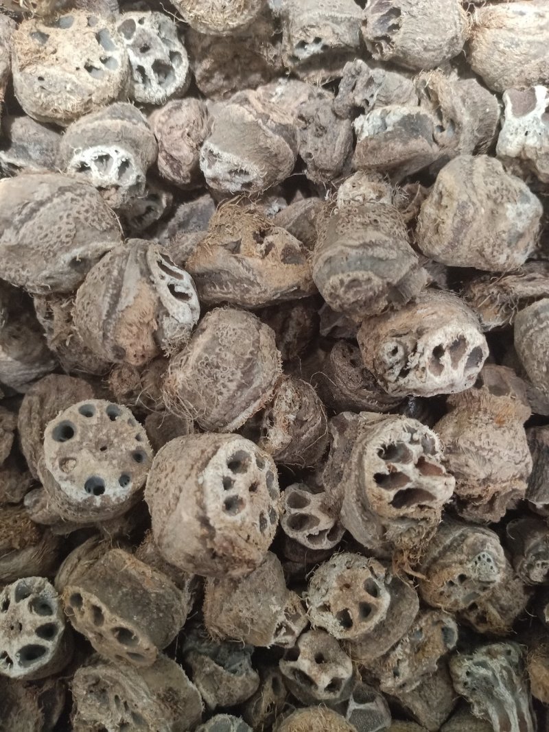 藕节，上千种中药材，质量保证，欢迎选购！