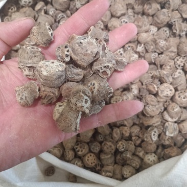 藕节，上千种中药材，质量保证，欢迎选购！