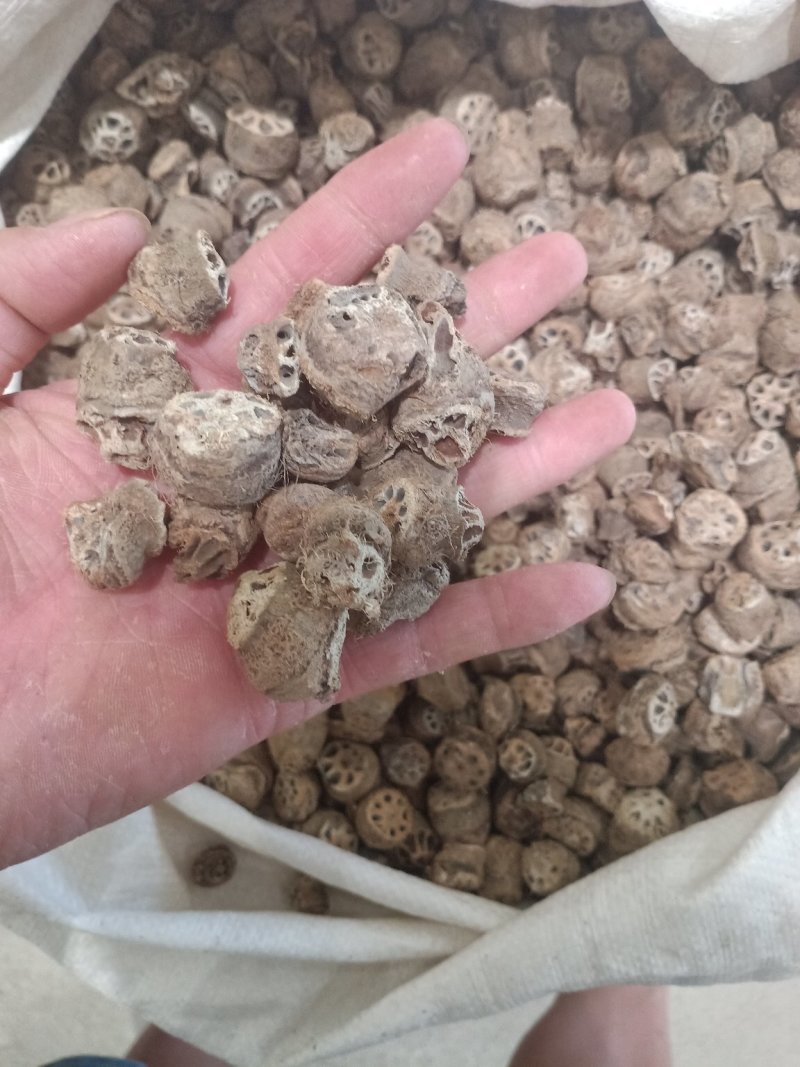 藕节，上千种中药材，质量保证，欢迎选购！