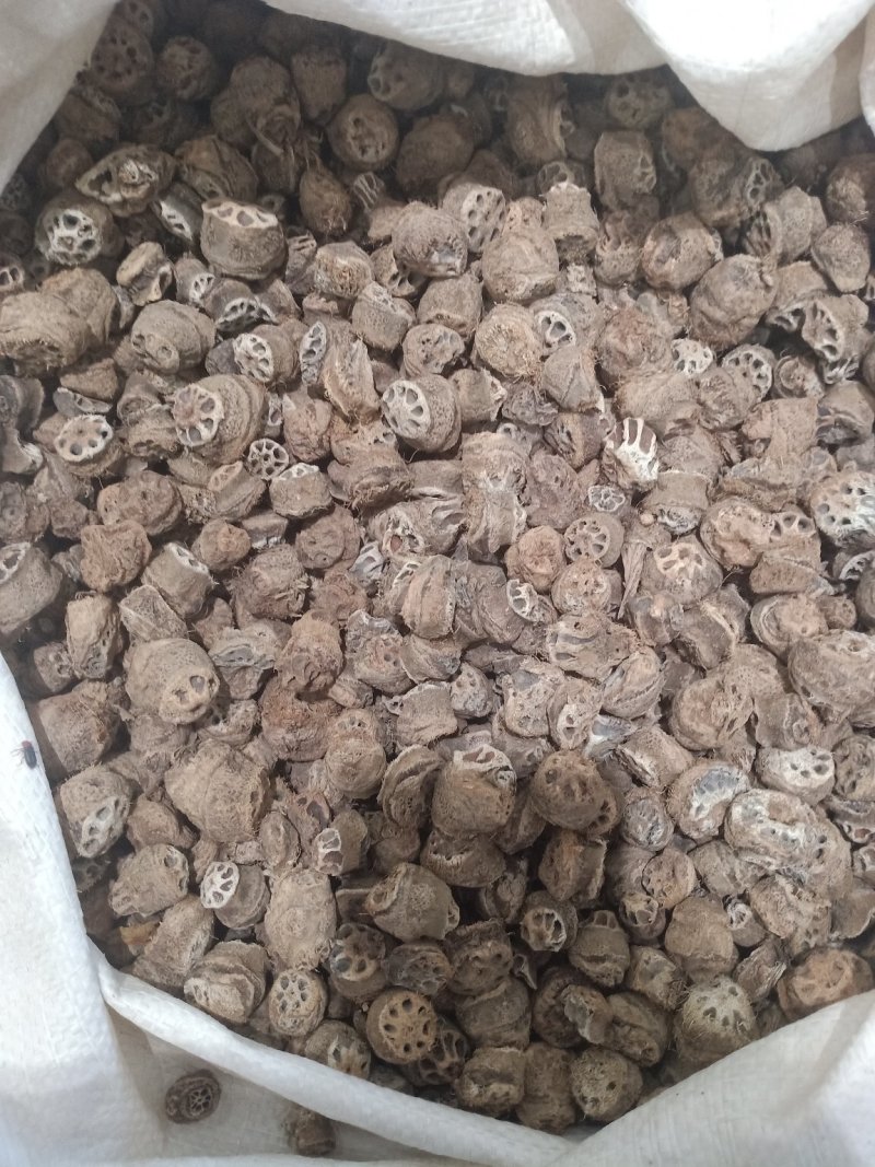 藕节，上千种中药材，质量保证，欢迎选购！