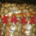 黄金薯，尤金，杠三七，荷兰系列，延薯四杠二土豆，大量上市