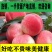 红不软毛桃[沙地水果]上市了[产地直供]真甜