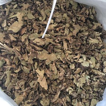 通货，大货香茶菜（铁菱角），秦东地产药材欢迎您的选购！