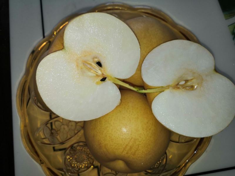 鲜黄梨