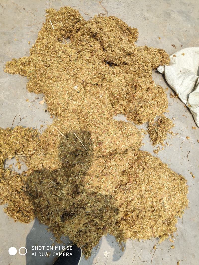 合欢花河南货质量好杂质少