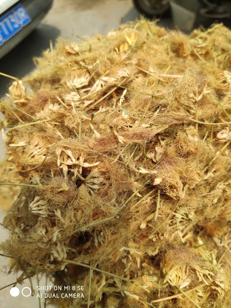 合欢花河南货质量好杂质少