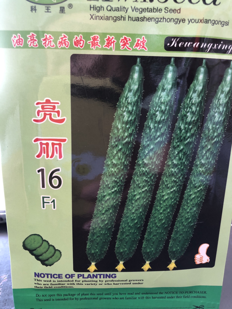 耐热黄瓜种子露地绿肉绿皮黑油亮型黄瓜种子春夏秋可种