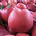 精品“油桃”产地直供，保质保量，产地价格
