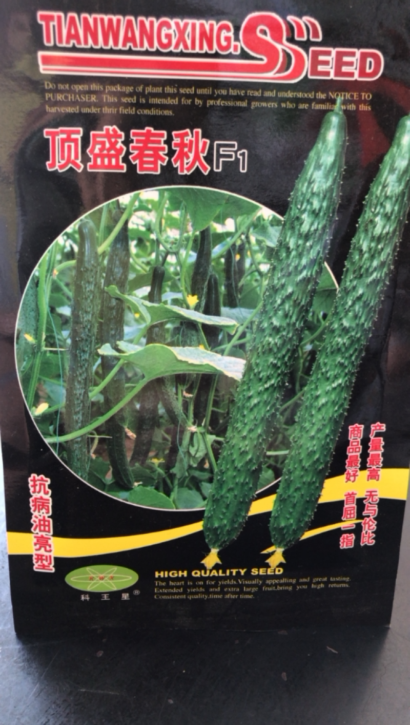 耐热黄瓜种子露地绿肉绿皮黑油亮型黄瓜种子春夏秋可种