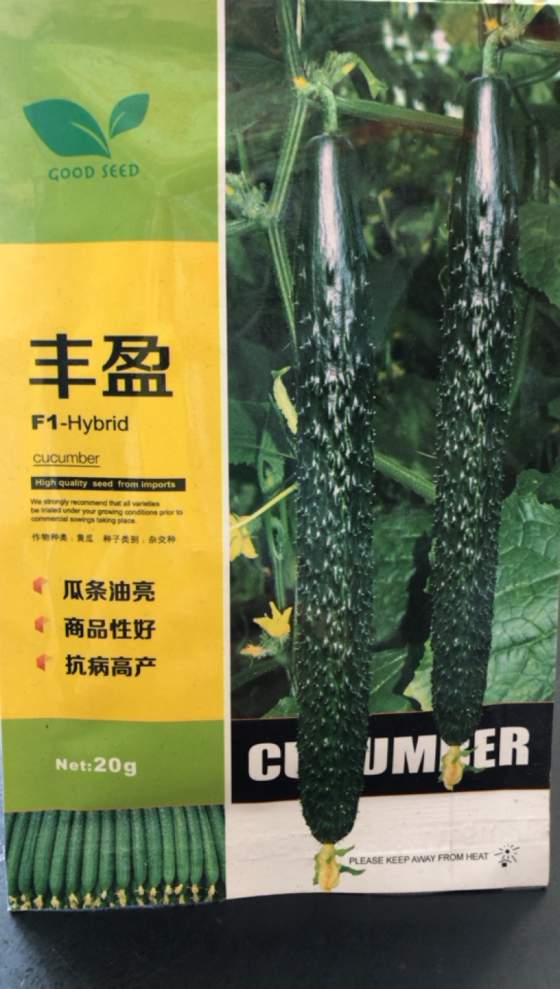 耐热黄瓜种子露地绿肉绿皮黑油亮型黄瓜种子春夏秋可种