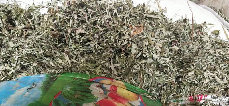 艾叶纯野生艾叶：月子洗护，熏屋，产地直发，一手货源。！