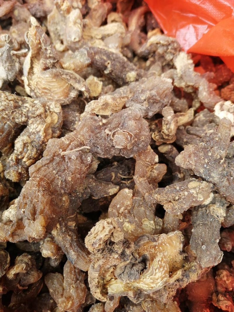 黄精纯野生细叶多花姜形黄精河南伏牛山，产地直销