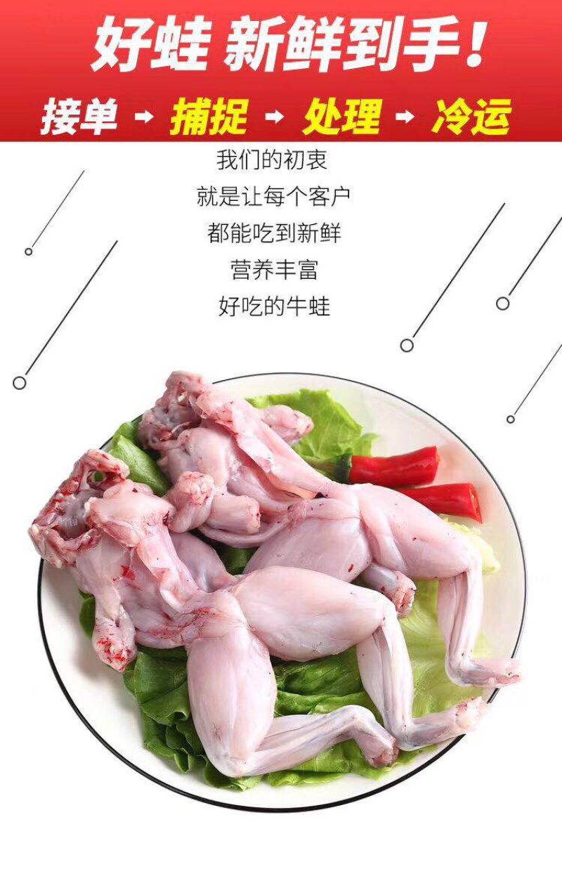 值得信赖，蛙肉性价比高