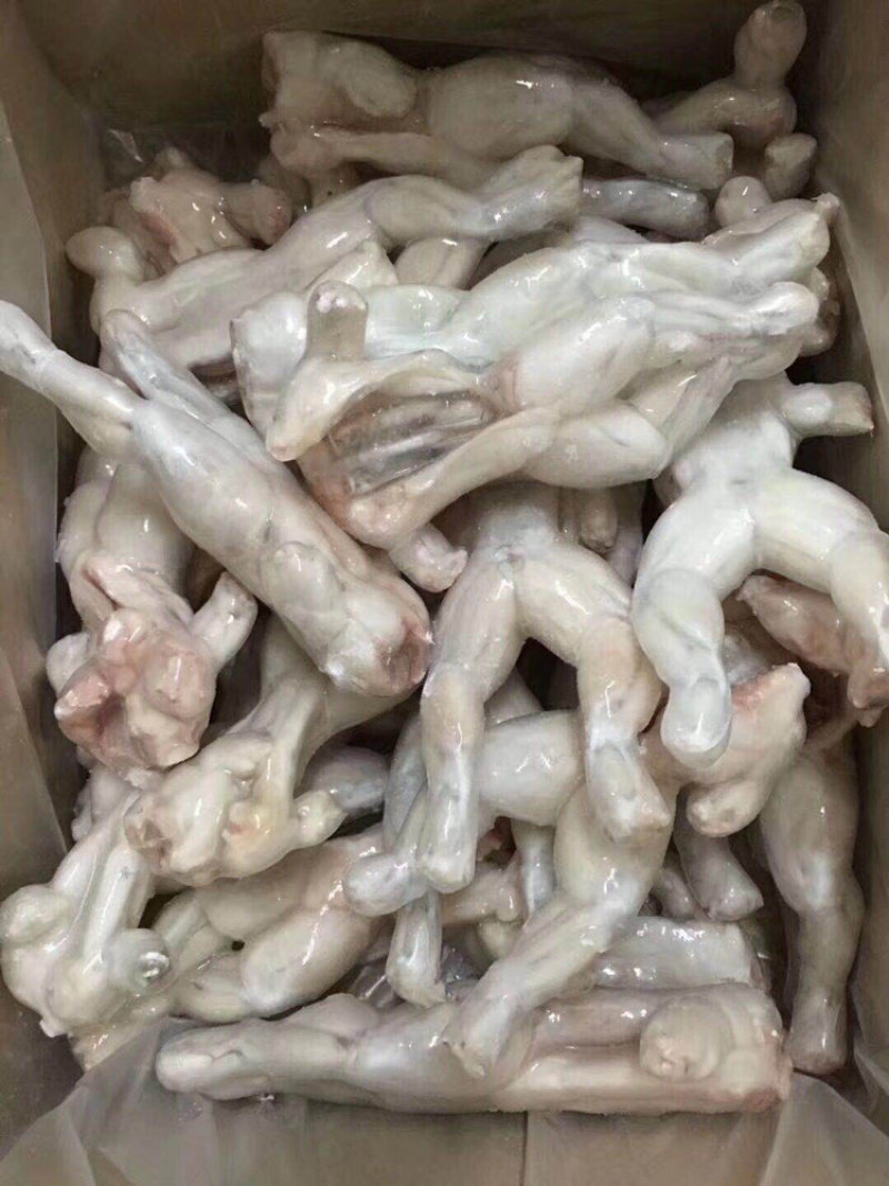值得信赖，蛙肉性价比高