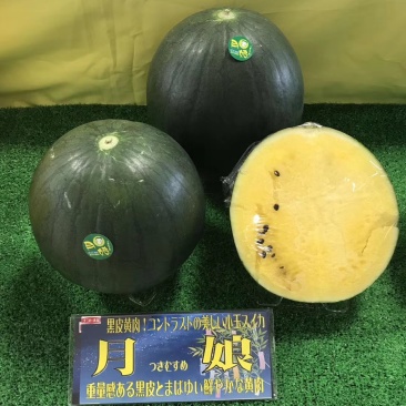 日本高端品种黄西瓜。