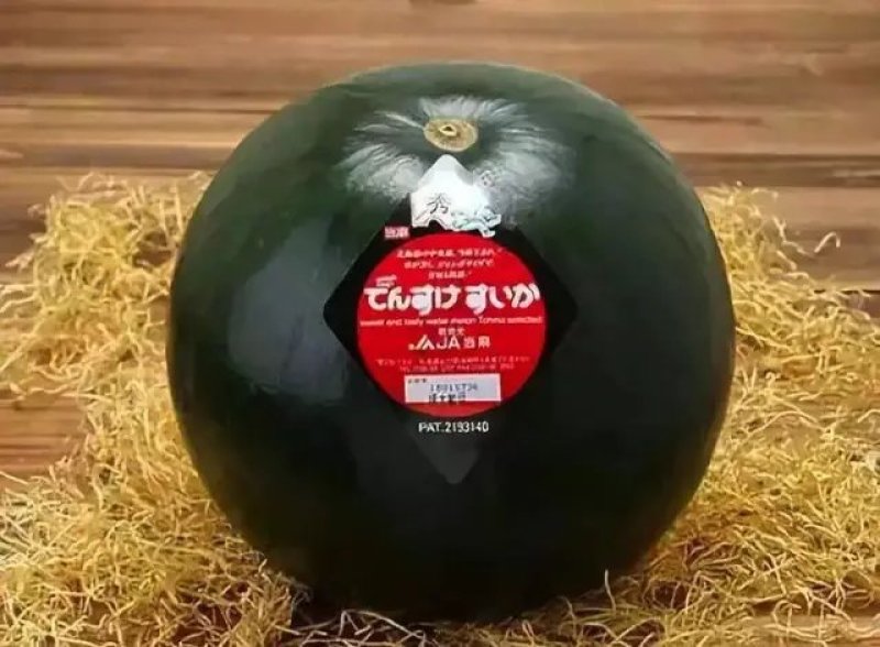 日本高端品种黄西瓜。