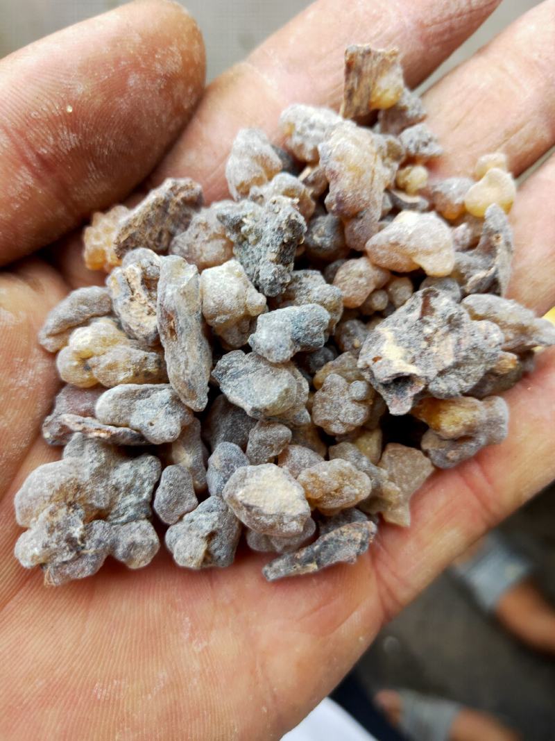 乳香货好量大不满意可以退换货代抓药方