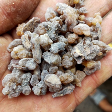 乳香货好量大不满意可以退换货代抓药方