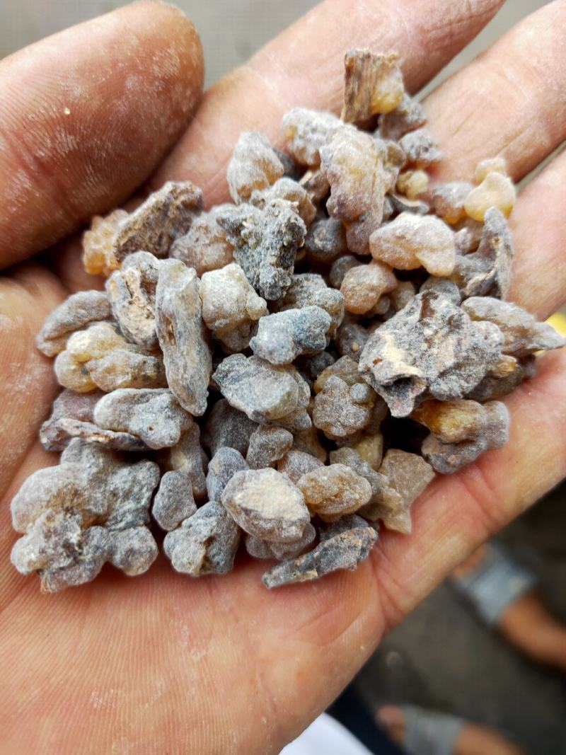 乳香货好量大不满意可以退换货代抓药方