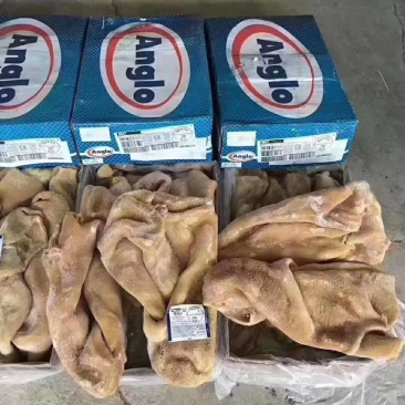 巴西厂号牛肚好箱好货