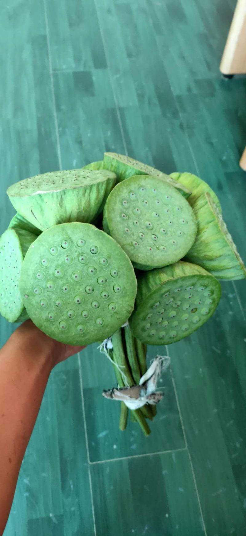 白洋淀千亩荷花莲蓬大量供应