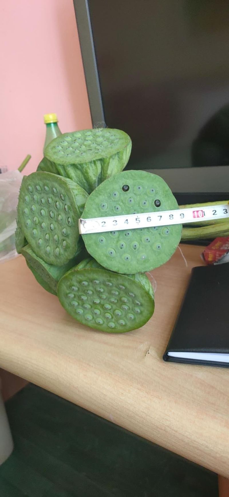 白洋淀千亩荷花莲蓬大量供应
