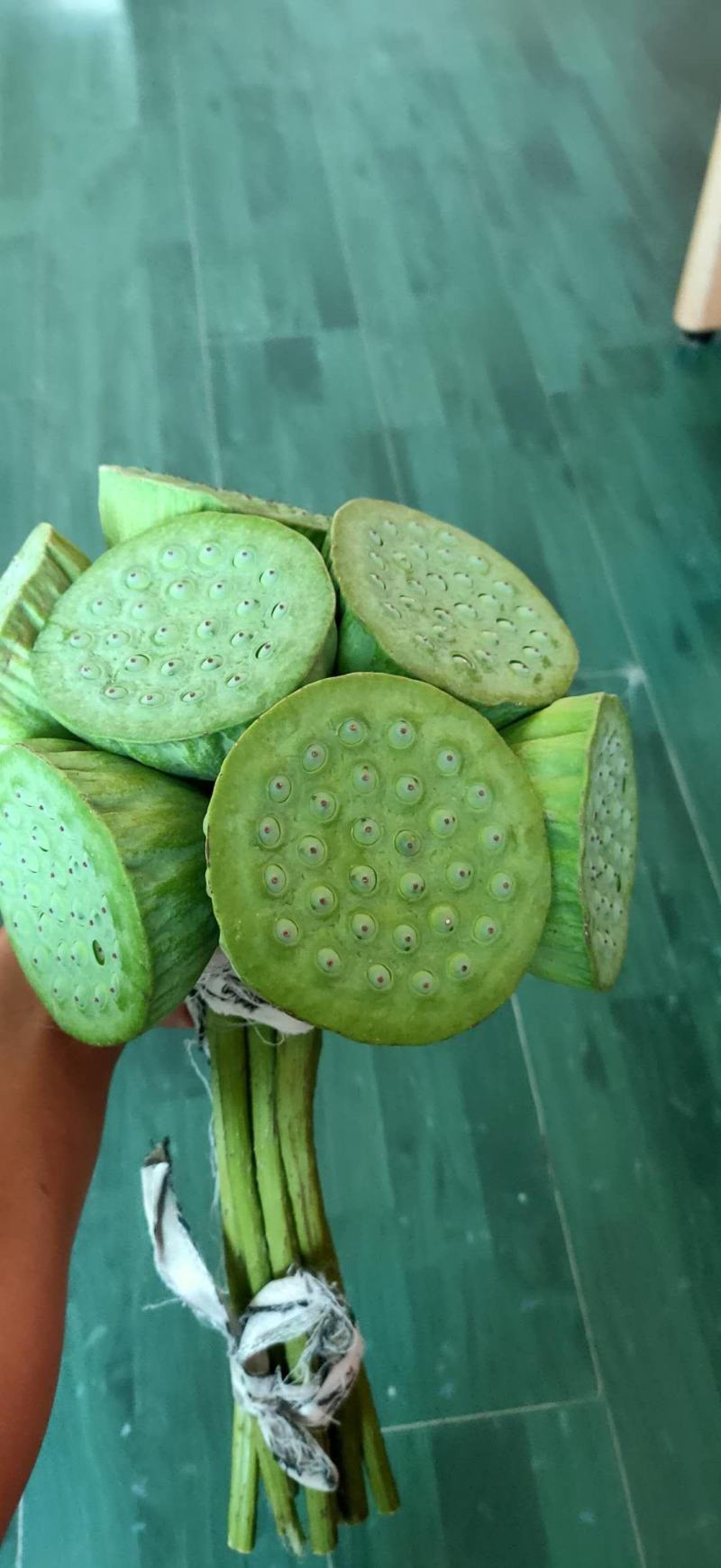 白洋淀千亩荷花莲蓬大量供应