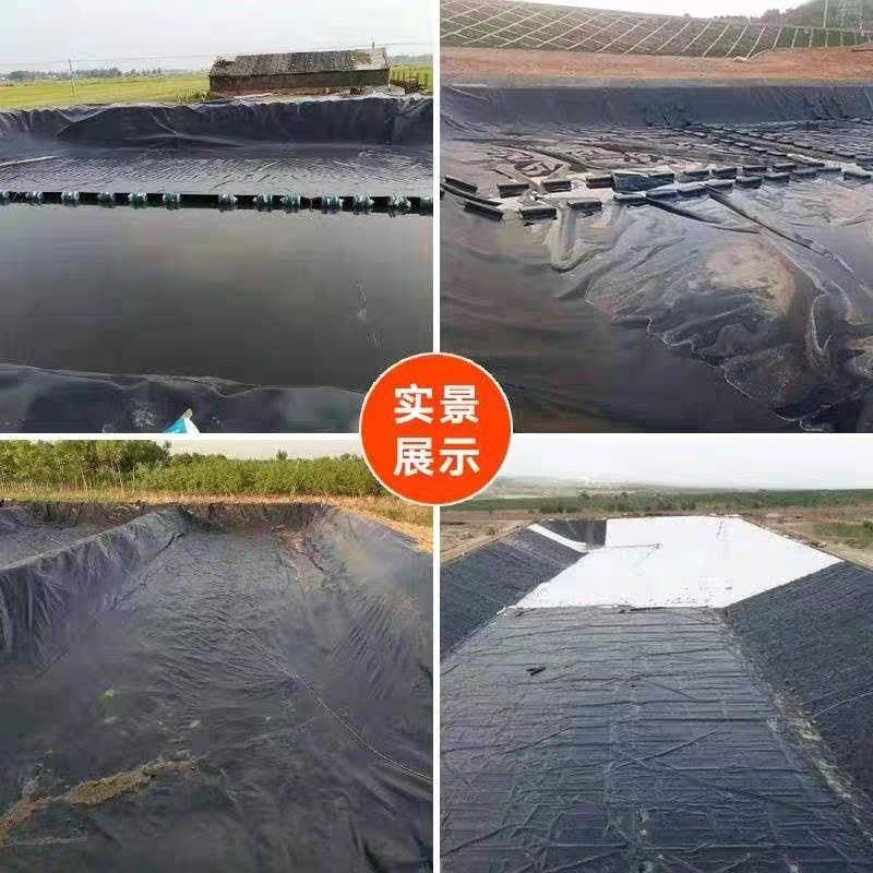 防渗膜厂家直销可鱼塘养殖使用接受视频和实地看货量大从优
