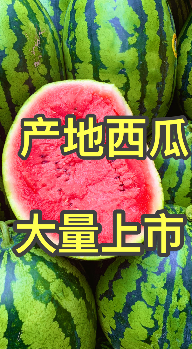 吉林甜王糖度高个头大均匀皮薄瓤红受市场欢迎