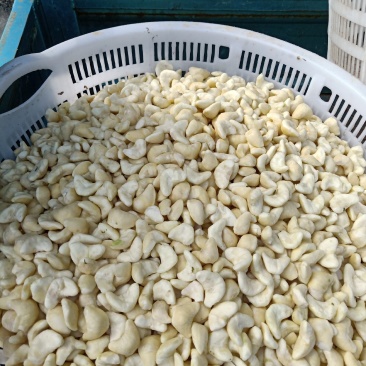 新菱角米，量大更优惠