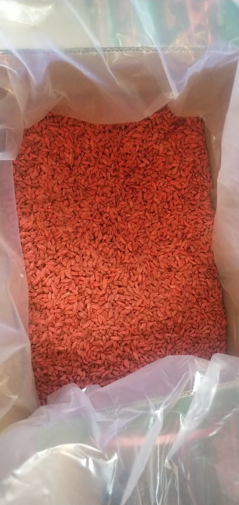 油货枸杞等级枸杞大量现货批发供应