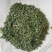 新货相思，相思叶，相思藤每瓶100g