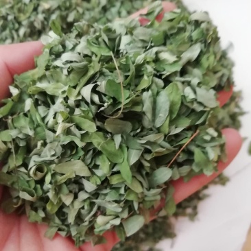 新货相思，相思叶，相思藤每瓶100g