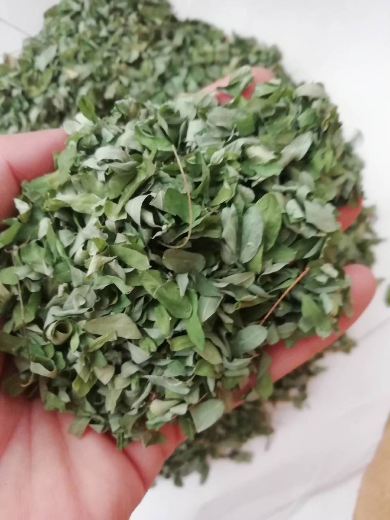 新货相思，相思叶，相思藤每瓶100g