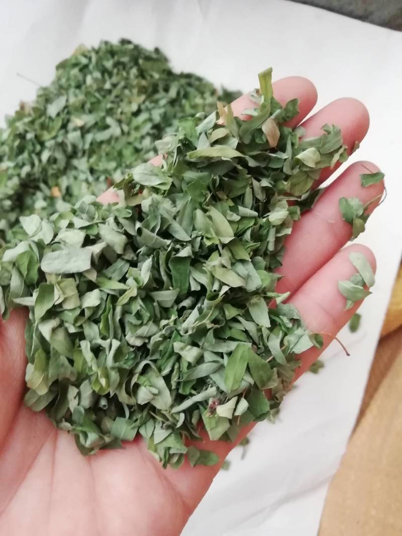 新货相思，相思叶，相思藤每瓶100g