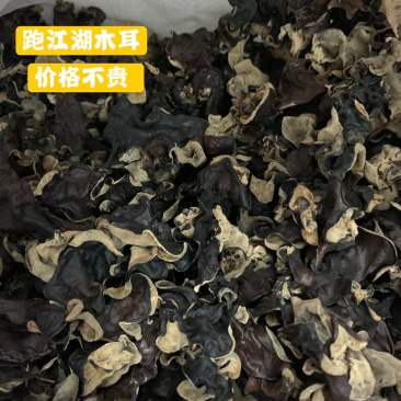 干货木耳火锅炒菜爽脆干木耳跑江湖地摊产品